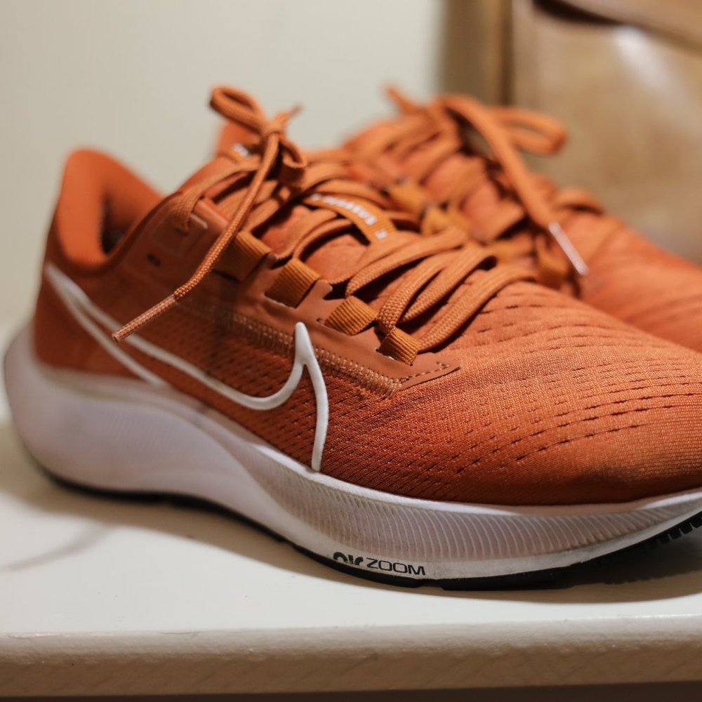 Nike Air Zoom Pegasus 38